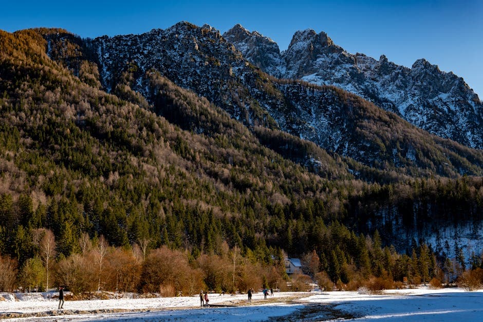 Alpine Mountain Trail