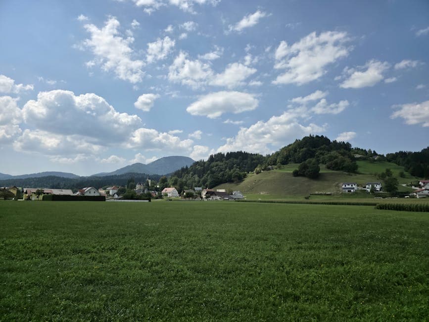 Slovenia Medical Documents